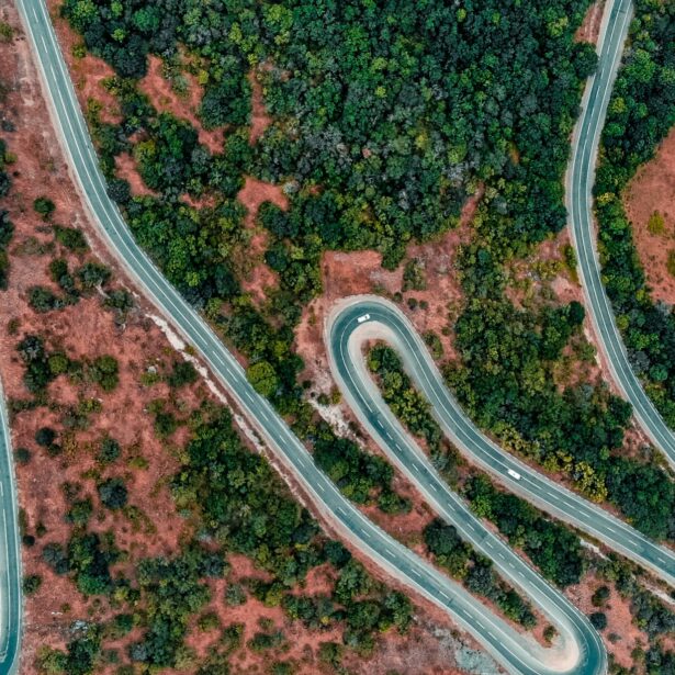 Une révolution de l&rsquo;économie inspirée par la nature