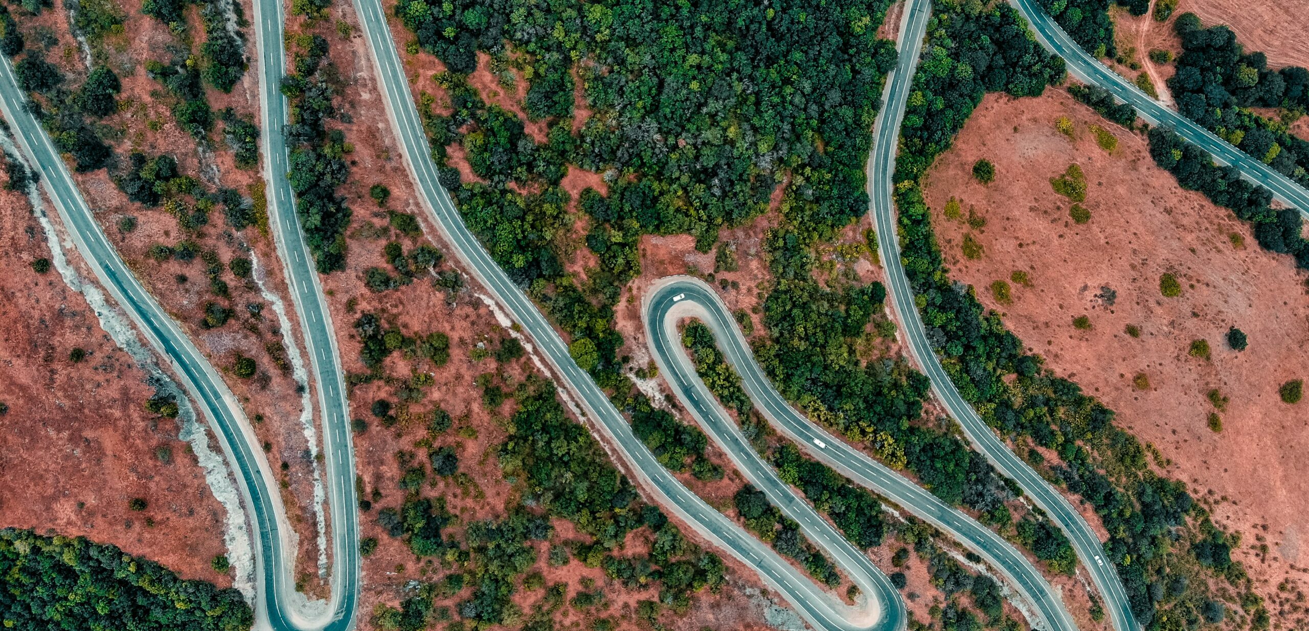 Une révolution de l&rsquo;économie inspirée par la nature