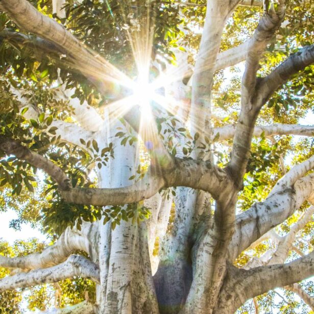 #CSR – Turningpoint reconnue B Corp « Best For The World »