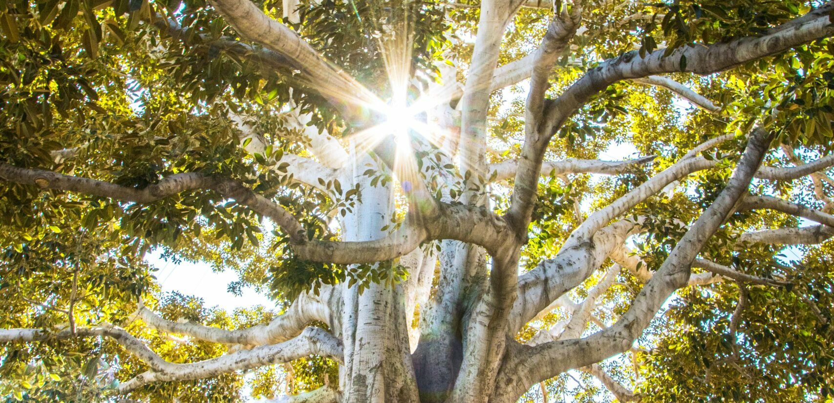 #CSR – Turningpoint reconnue B Corp « Best For The World »