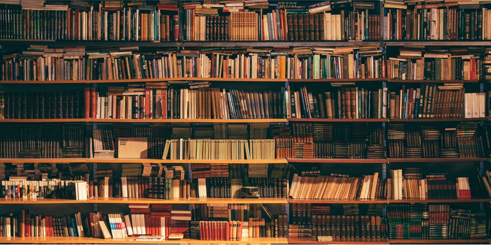 “Leadership Transitions” as Book of the Week