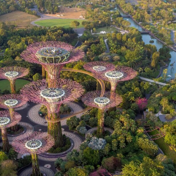 Forum du Monde d&rsquo;Après : La prise de conscience écologique est-elle arrivée ? 