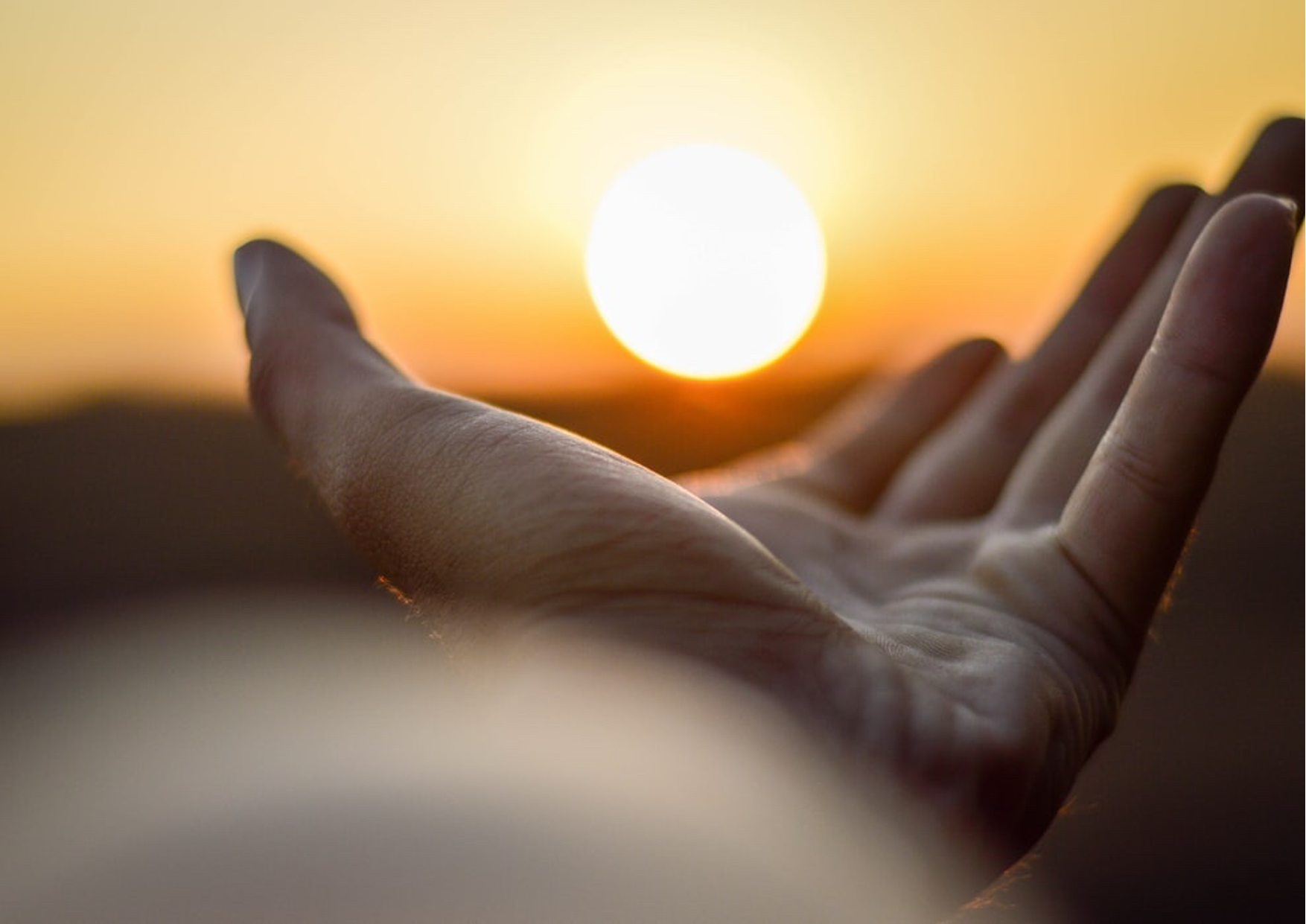 Workshop on meditation and positive psychology with Tal Ben Shahar and Fabrice Midal