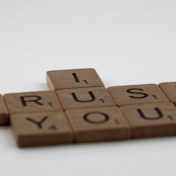 Developing Trust & Transparency